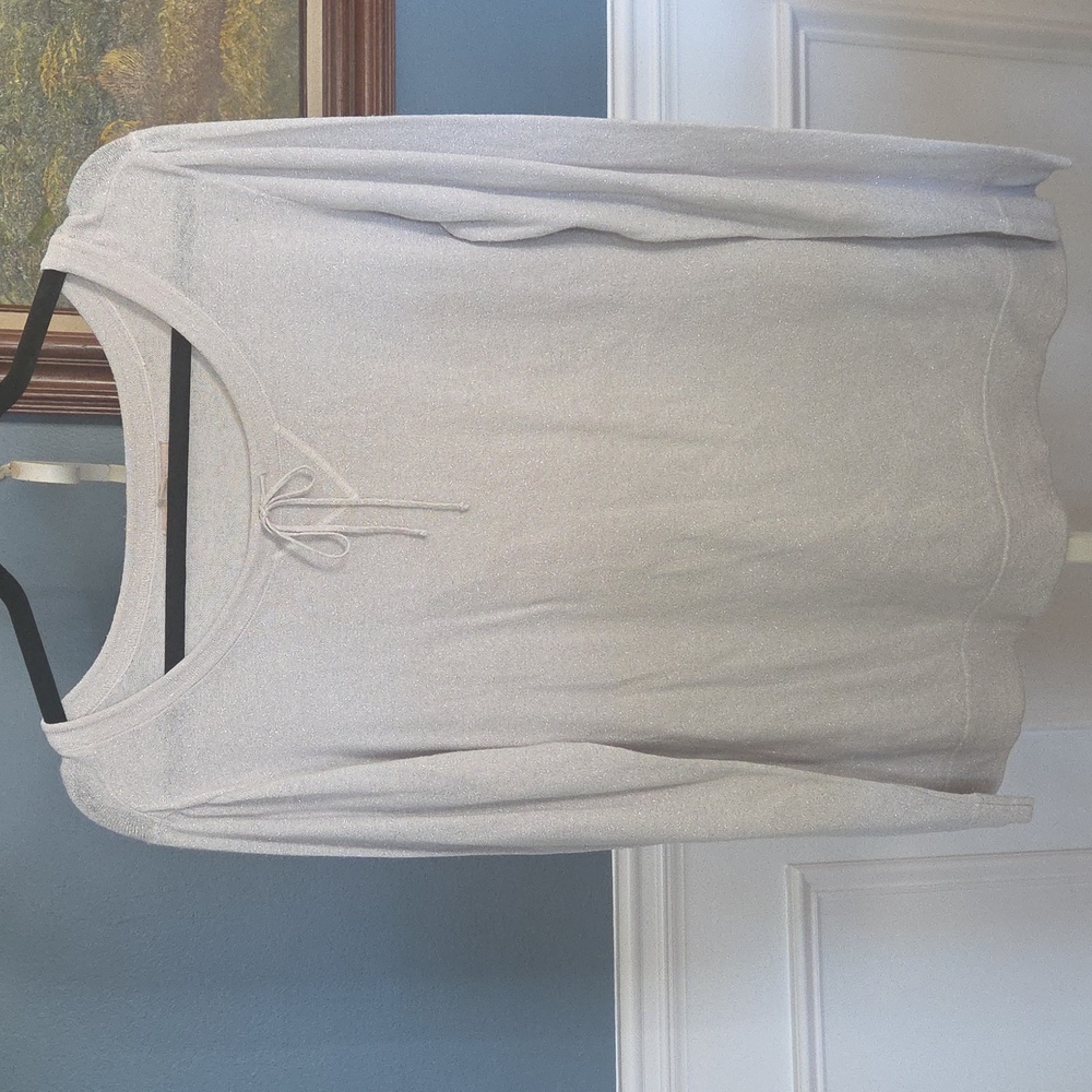 Banana Republic Gorgous Glittery Elegant Silver Long Sleeve Top Sz XL